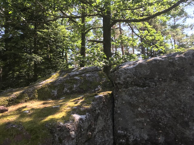 AUSzeit & Seminar in St. Odile/ Vogesen  -  ACHTUNG - Terminveränderung !!